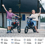 iScooter Electric Dirt Bike for Kids 500W 5.2Ah Electric Motorcycle A14 27km/h Max Speed 14inch Trail Riding Off-Road Motorcycle